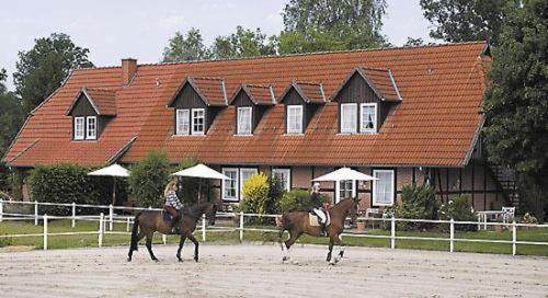Heidehotel Gut Landliebe Hermannsburg Exterior photo